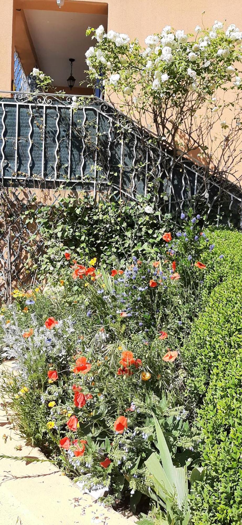 Appartement T.Belle Vue Panoramique Au Coeur Du Luberon 40M2 + Pergola . Jardin. P à Apt Extérieur photo