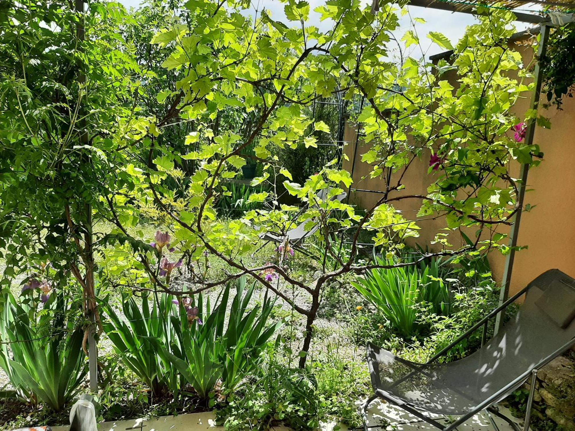Appartement T.Belle Vue Panoramique Au Coeur Du Luberon 40M2 + Pergola . Jardin. P à Apt Extérieur photo